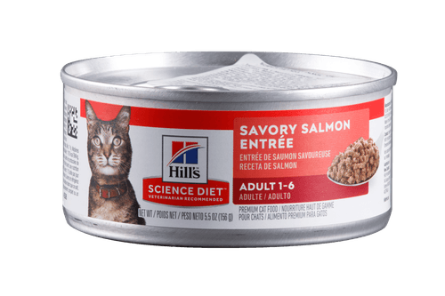Comida Húmeda Para Gato Hills Salmon