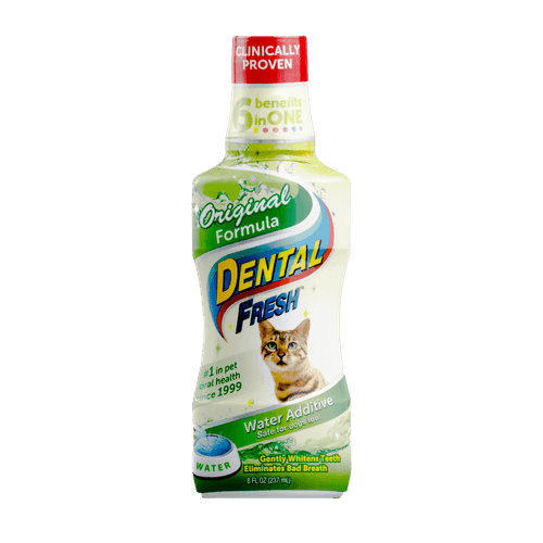 Enjuague Oral Dental Fresh Original Cat